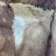Mexican goatskin rug