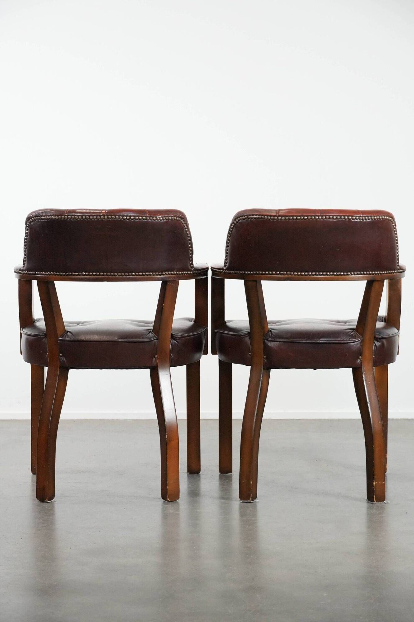 Set of two brown leather Chesterfield dining chairs in English style.