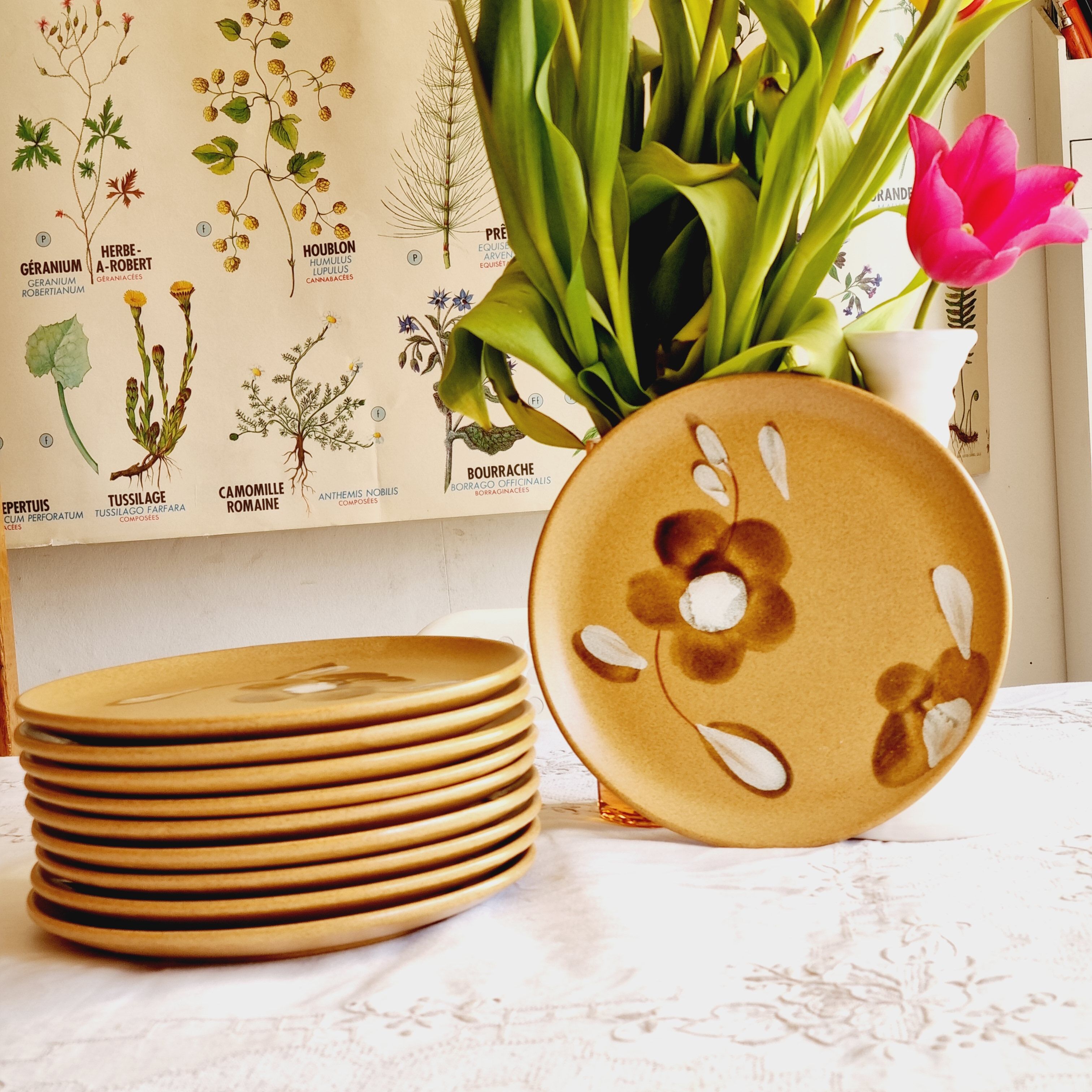 Set of 10 plates with sarreguemines sandstone desserts