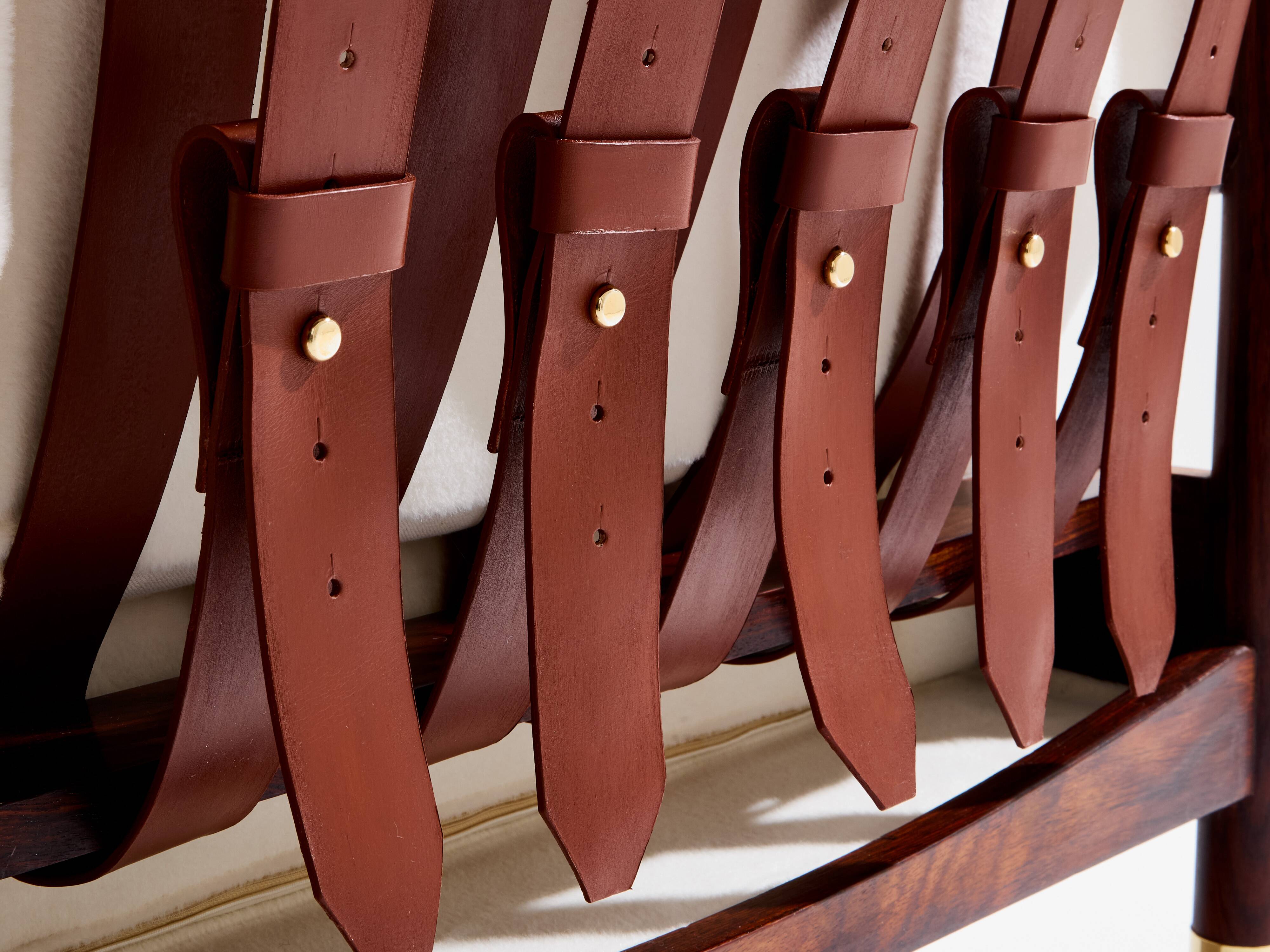 Pair of armchairs by Carlo De Carlo, rosewood, leather, brass, 1966