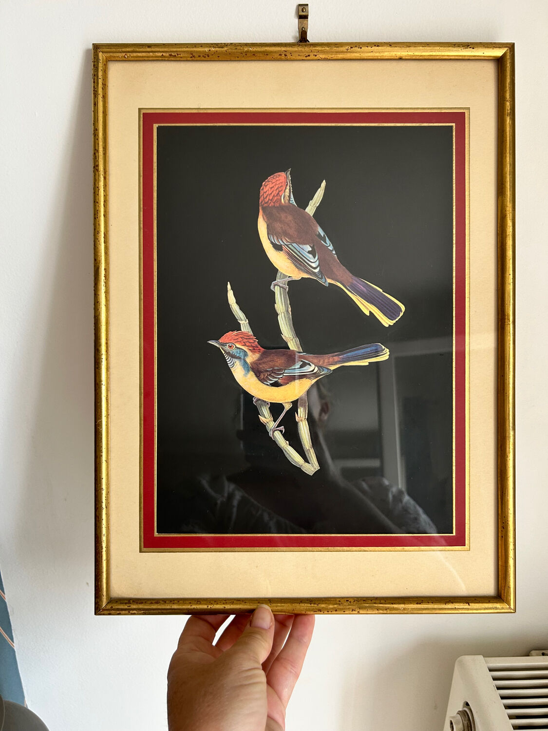 Set of 2 vintage lithographs