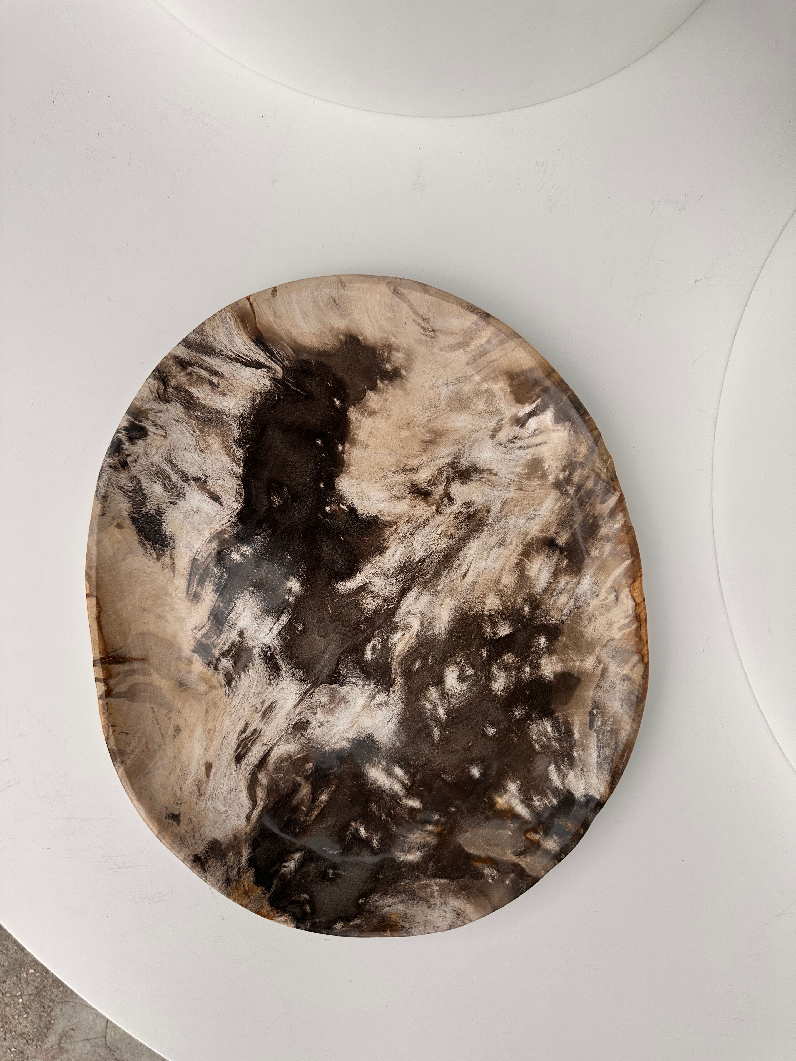 Very large empty pocket or petrified wooden flat