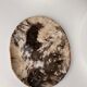 Very large empty pocket or petrified wooden flat