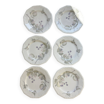 6 Rosenthal dinner plates