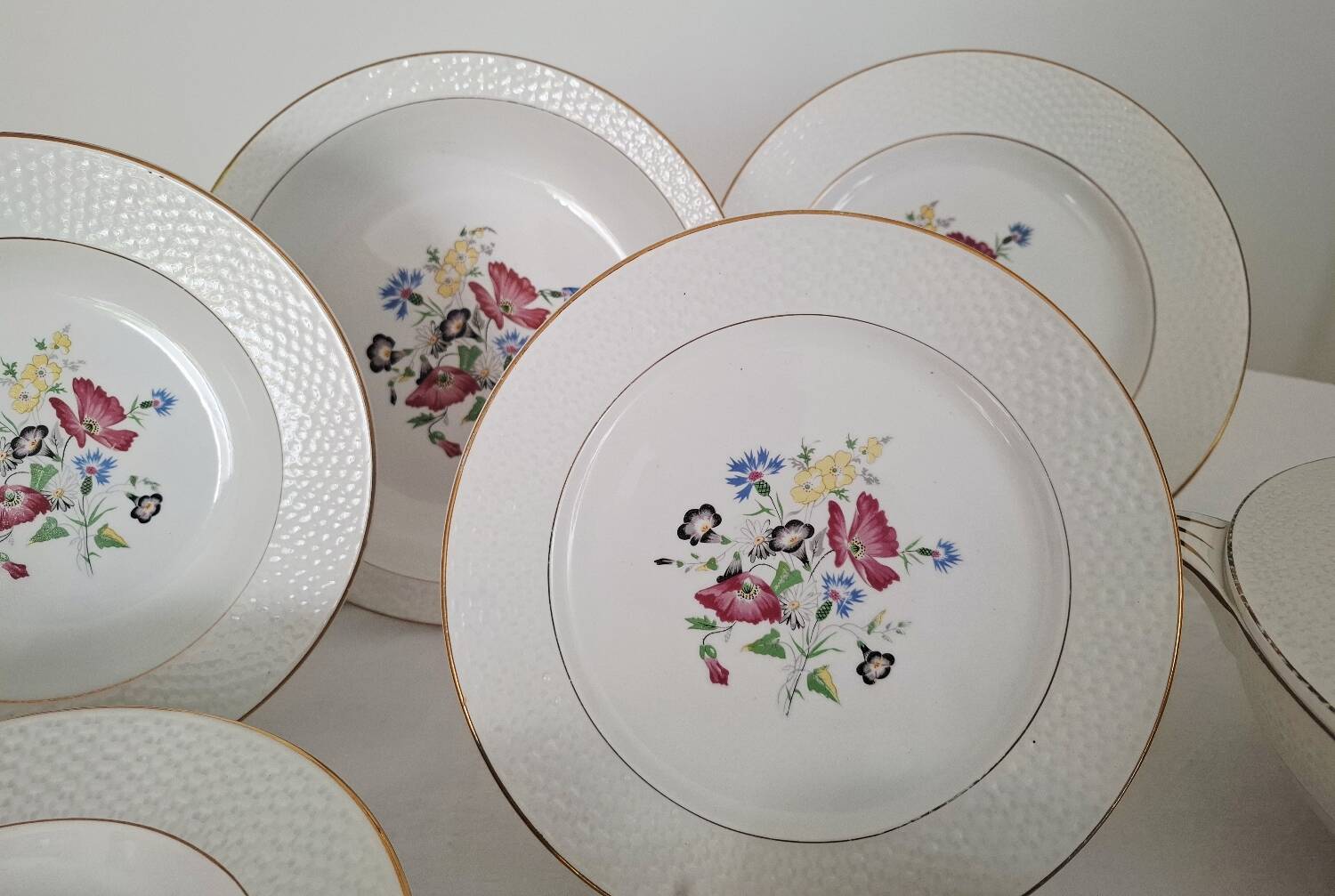 Antique Opaque Porcelain Dinner Service Digoin and Sarregue