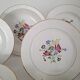 Antique Opaque Porcelain Dinner Service Digoin and Sarregue