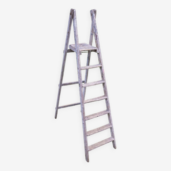 painter's stepladder