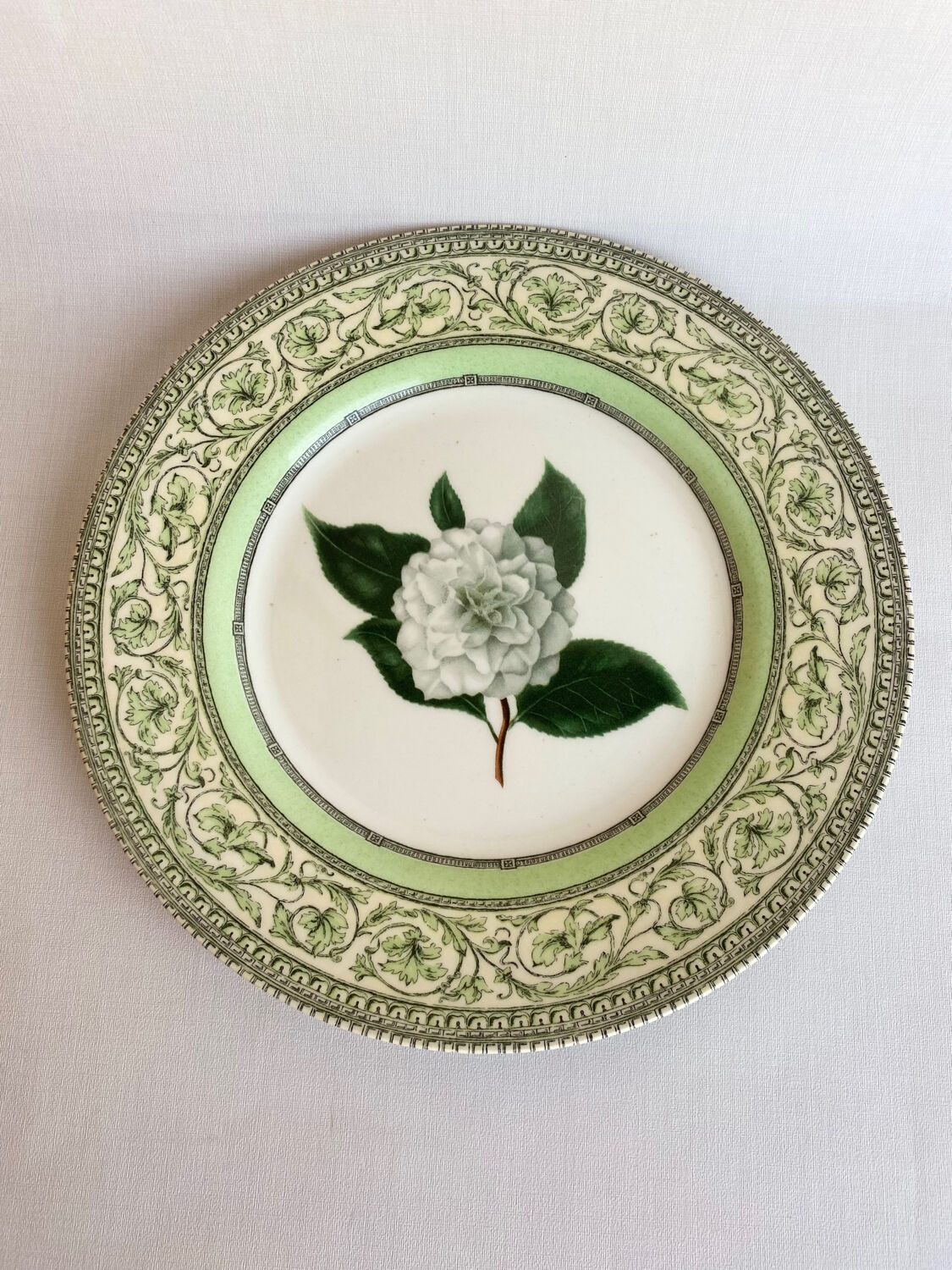 English porcelain plates