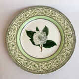 Assiettes en porcelaine anglaise