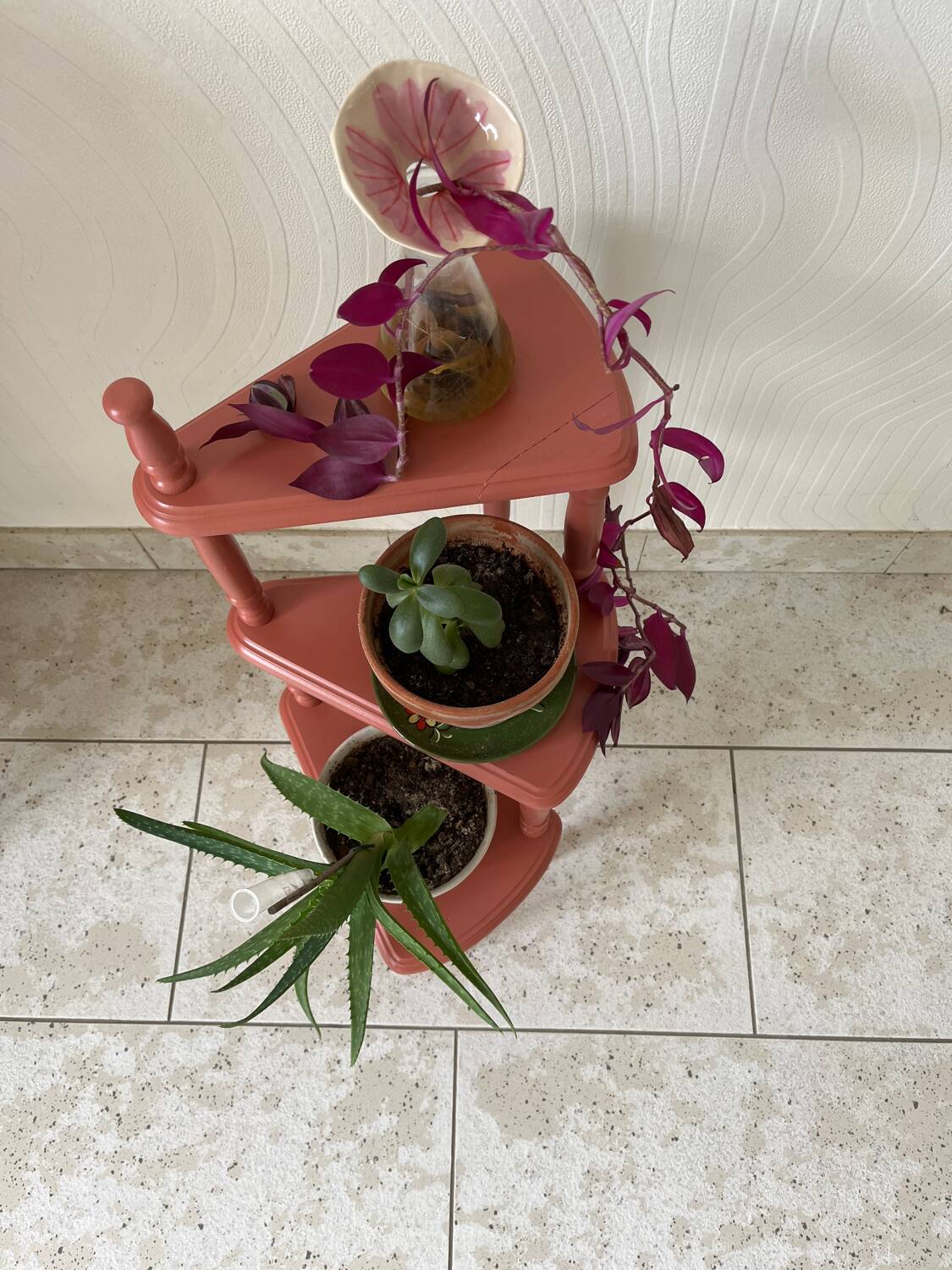 Old plant holder repainted in terracotta