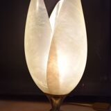 Lamp to lay House Rougier model tulip