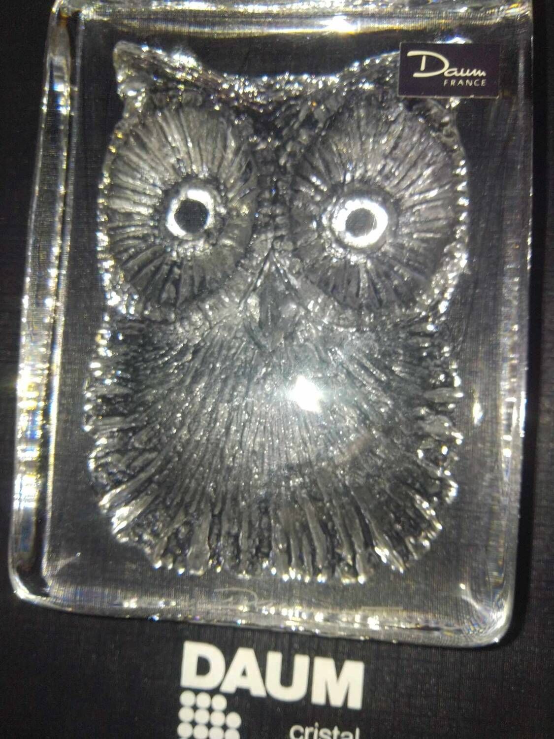 Paperweight signed daum France owl owls