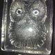 Paperweight signed daum France owl owls