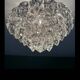 Lustre OTT International