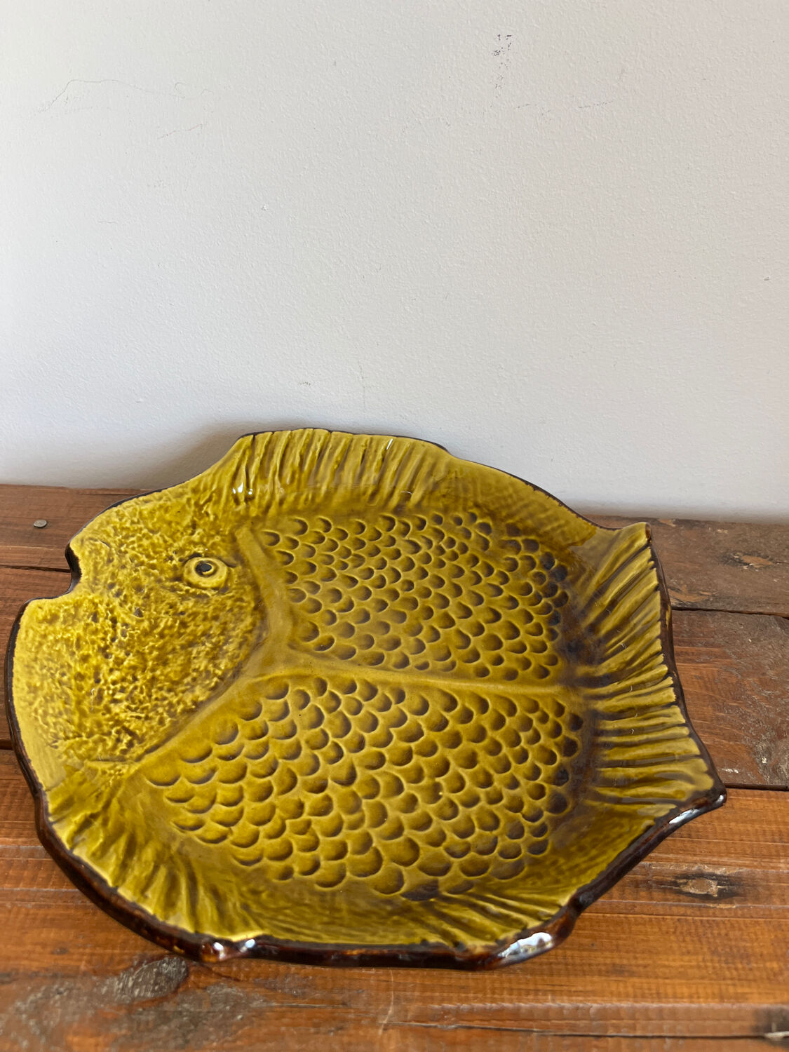 Deep plate fish