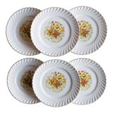 6 flat plates old floral edges fluted edges