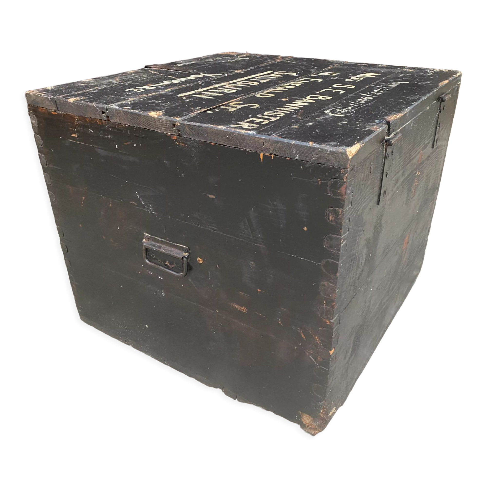Large old trunk