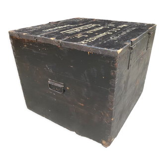 Large old trunk