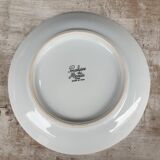 Service 6 plates porcelain ducks