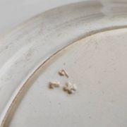 Prairial dish Creil Montereau
