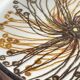 Royal copenhagen ceramic pocket tray by hellen malmer vintage