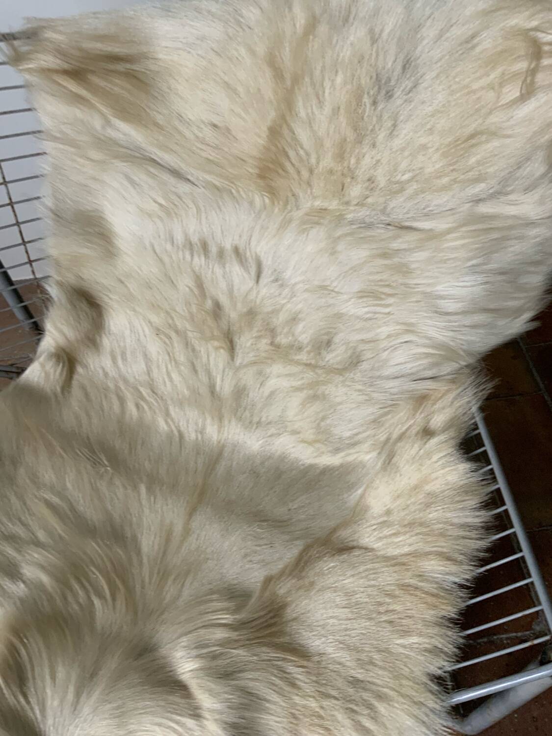 Vintage goatskin