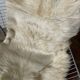 Vintage goatskin