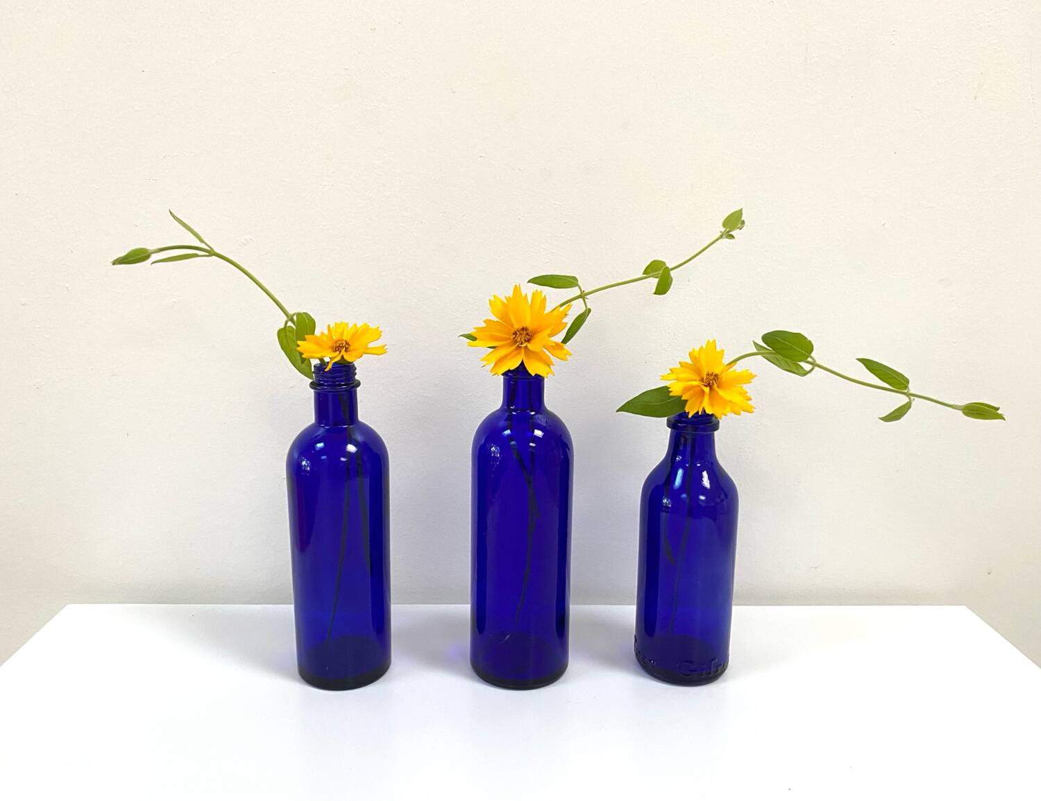 Cobalt Blue Glass Bottle/Vase Trio