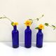 Cobalt Blue Glass Bottle/Vase Trio