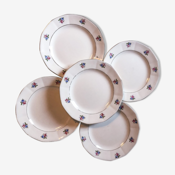 Set of 5 plates with dessert digoin Sarreguemines