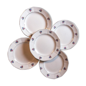 Set de 5 assiettes à dessert digoin Sarreguemines
