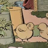 Old humorous satirical illustration of animals (chicks) - 1930
