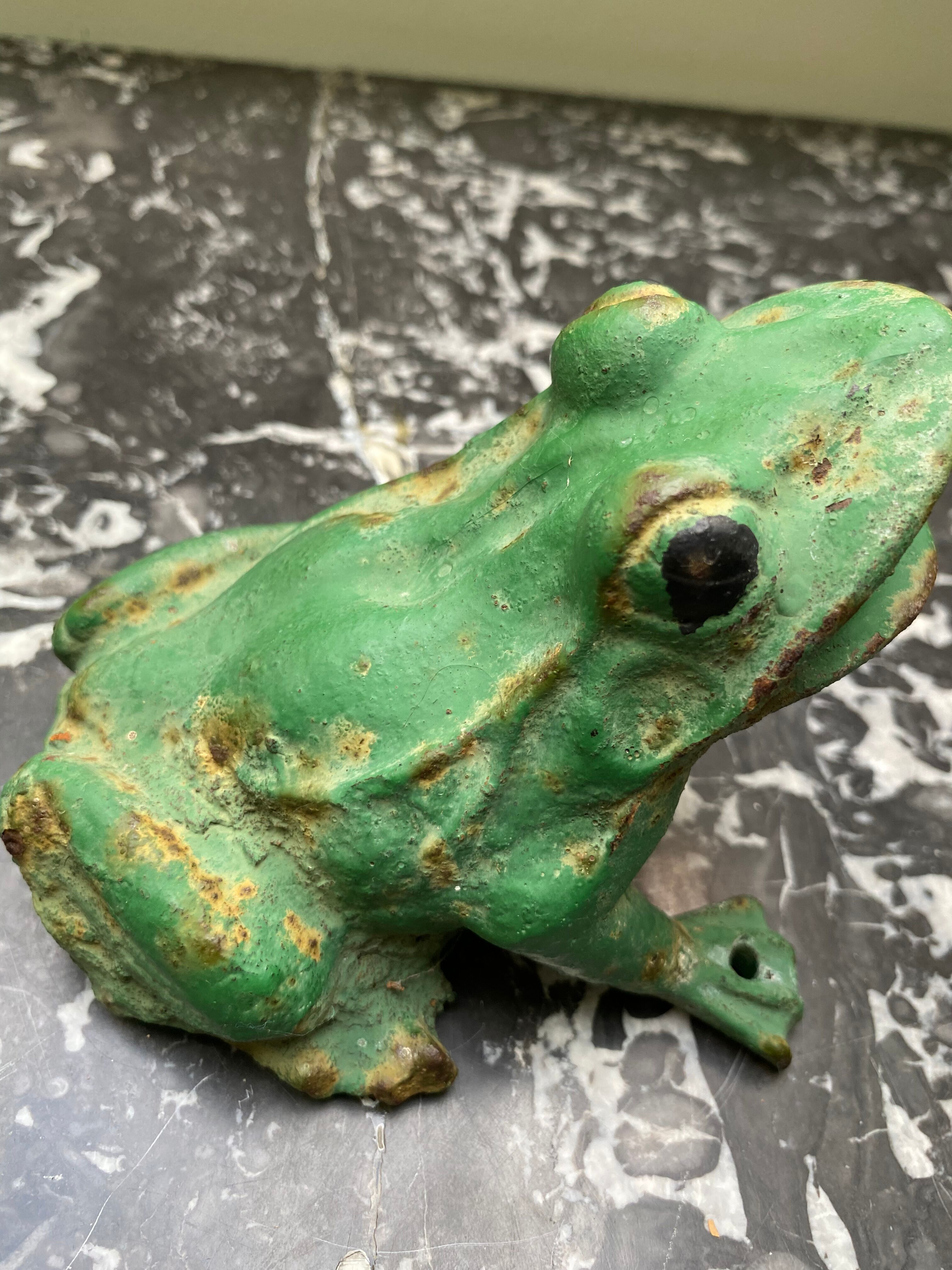 Cast iron frog