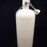 Bottle in reeds