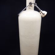Bottle in reeds