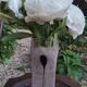 Vase Kosta Boda