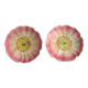 Pair of slipware plates – Art Nouveau floral decoration