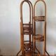 Rattan plant stand screen