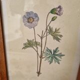 Pair of vintage frames watercolors flowers