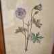 Paire de cadres vintage aquarelles fleurs