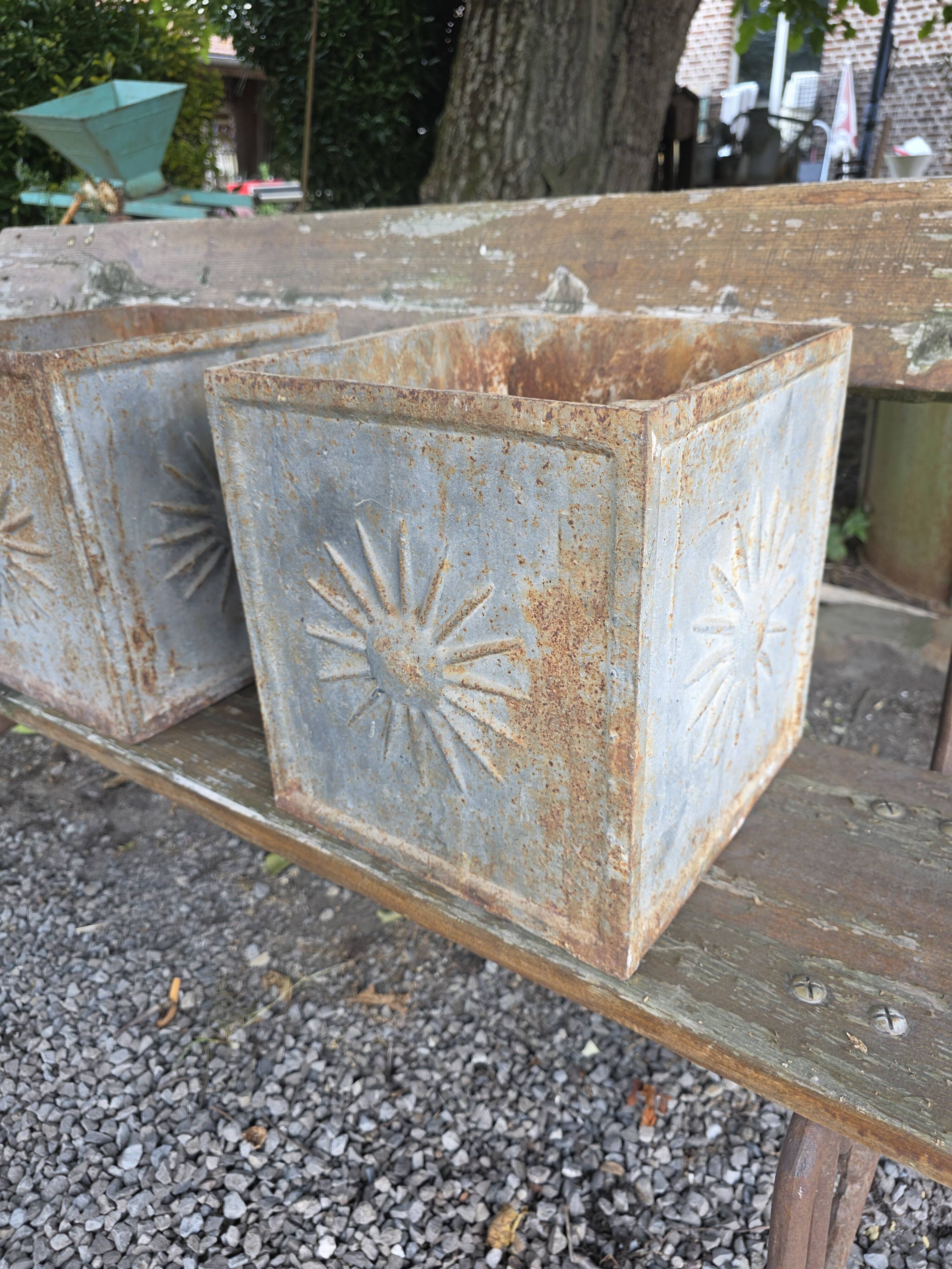 Pair of cast iron planters
