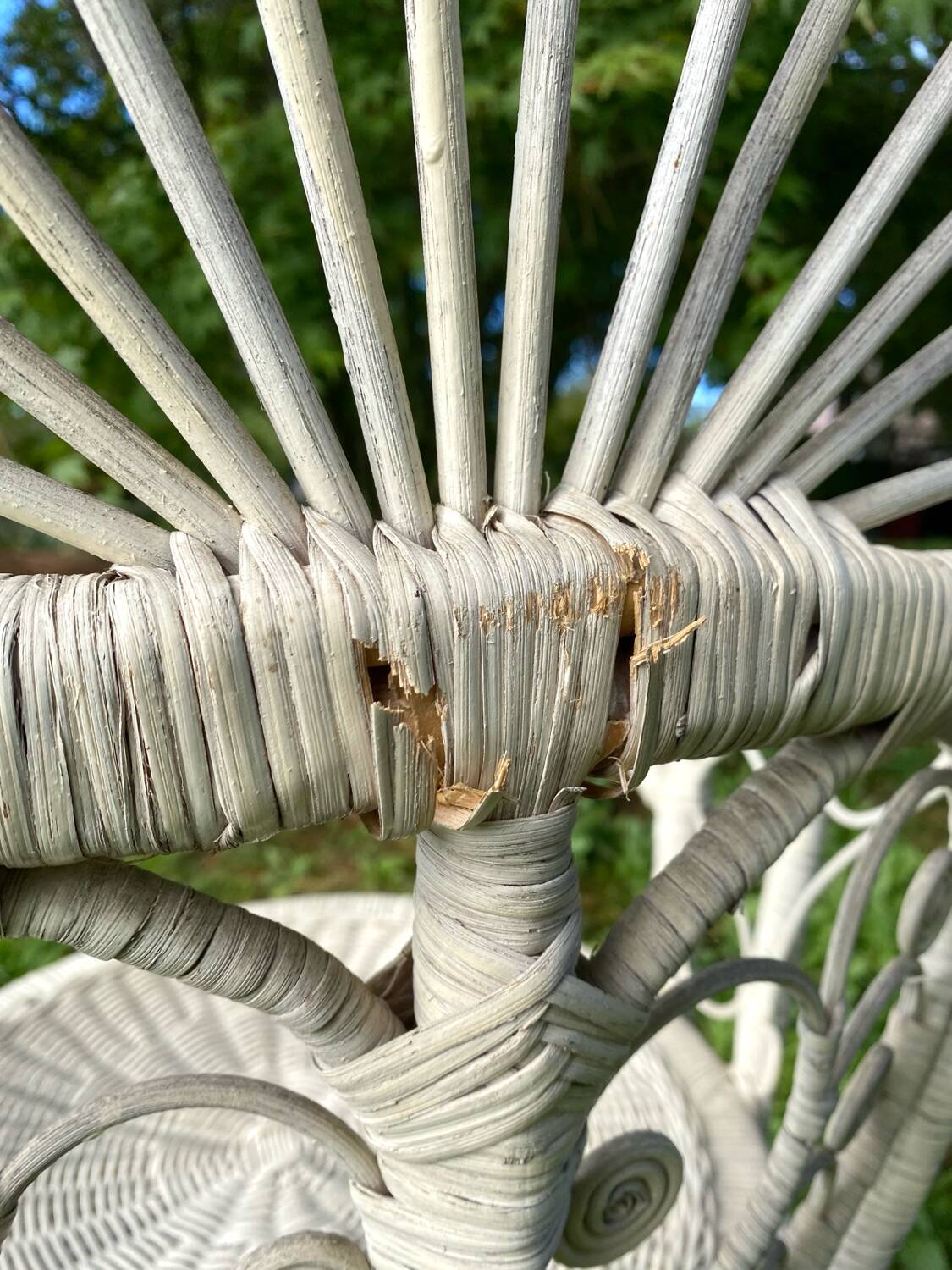 1960s peacock rattan armchair