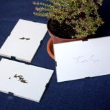 Original Sky Illustration No.26