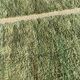 Berber rug M'rirt 210x300 cm - Olive green