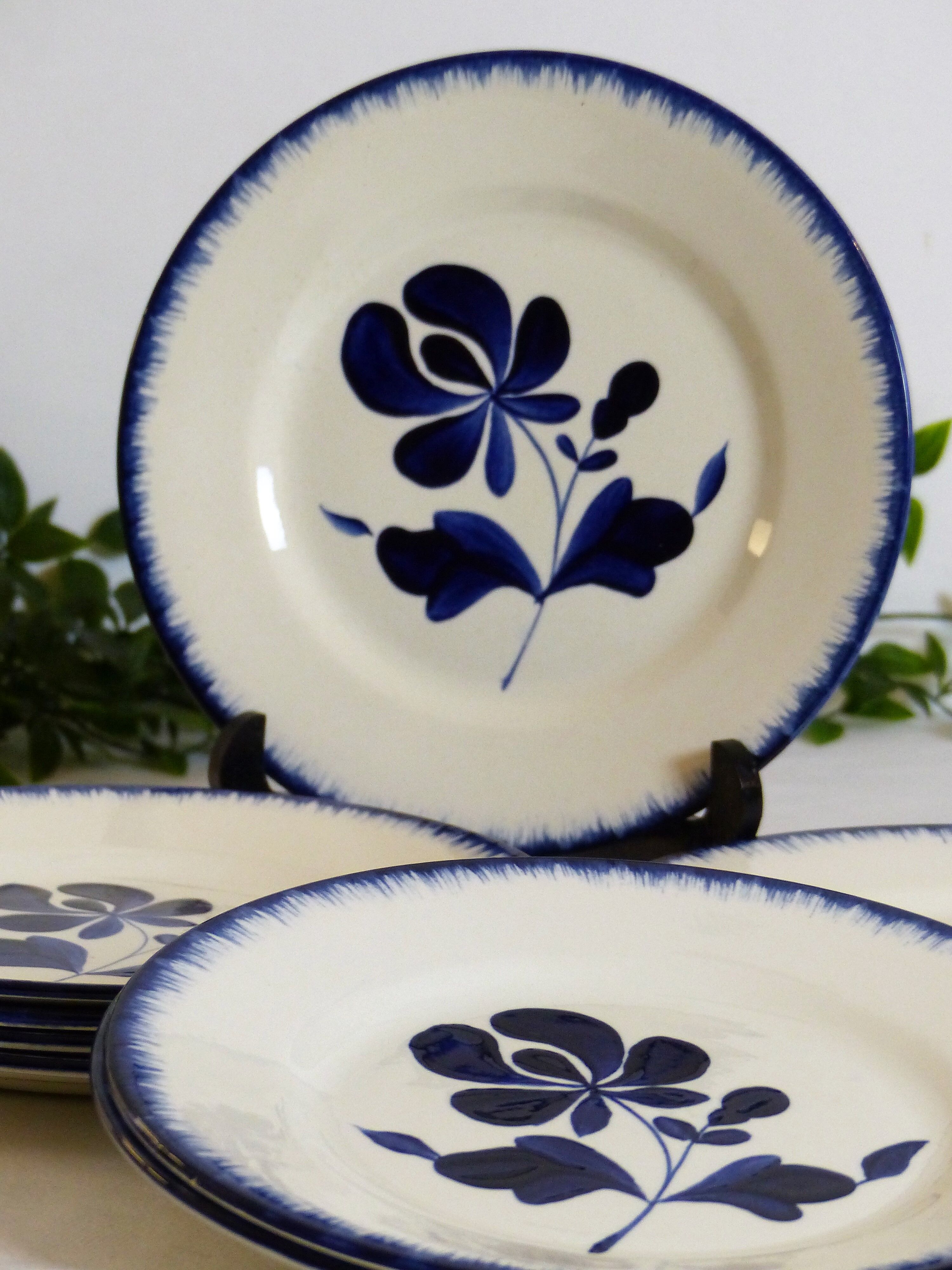 10 Salins-Les-Bains dessert plates