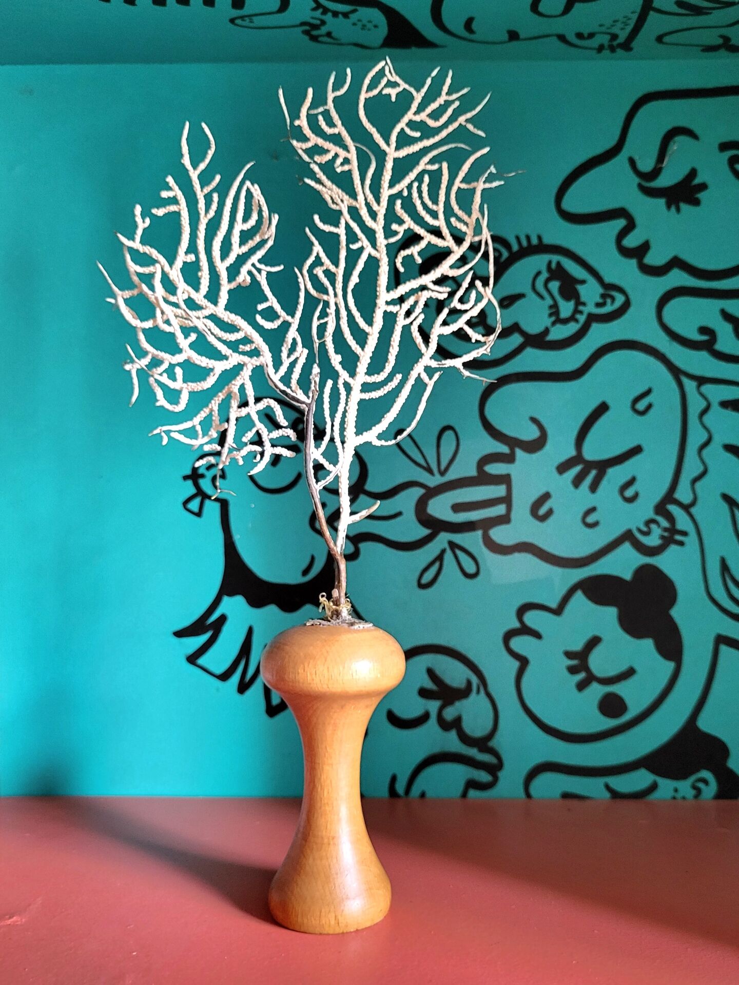 Natural white gorgone on a wooden base