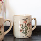 2 tea cups in speckled sandstone flowers rosa canina