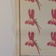 Vintage educational wall hanging roll chart biology genetics