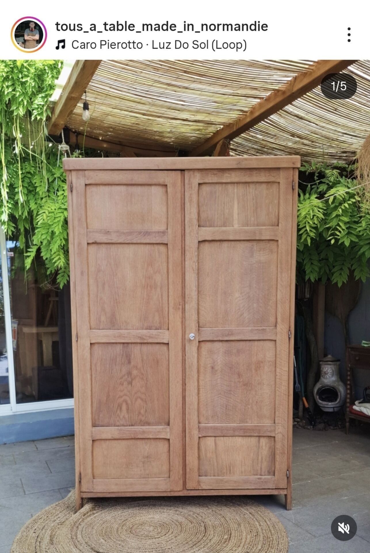 Renovated Parisian wardrobe