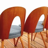 Set of five chairs, design. A. Suman, Tatra Nabytok, Czechoslovakia, 60s